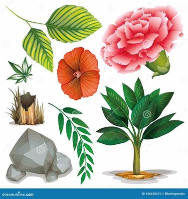 鐵力H5游戲頁游如何代理加盟大型策略游戲手游